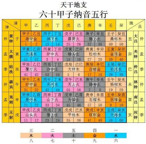 木局|紫微斗数中木三局的个性